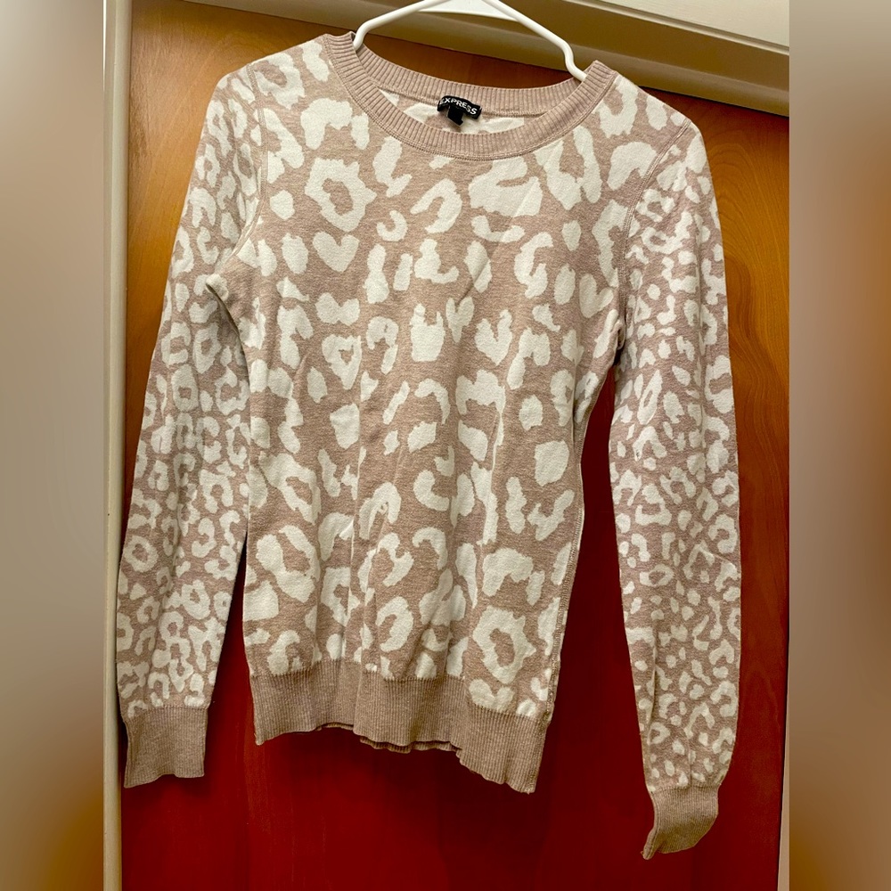 Express sweater
